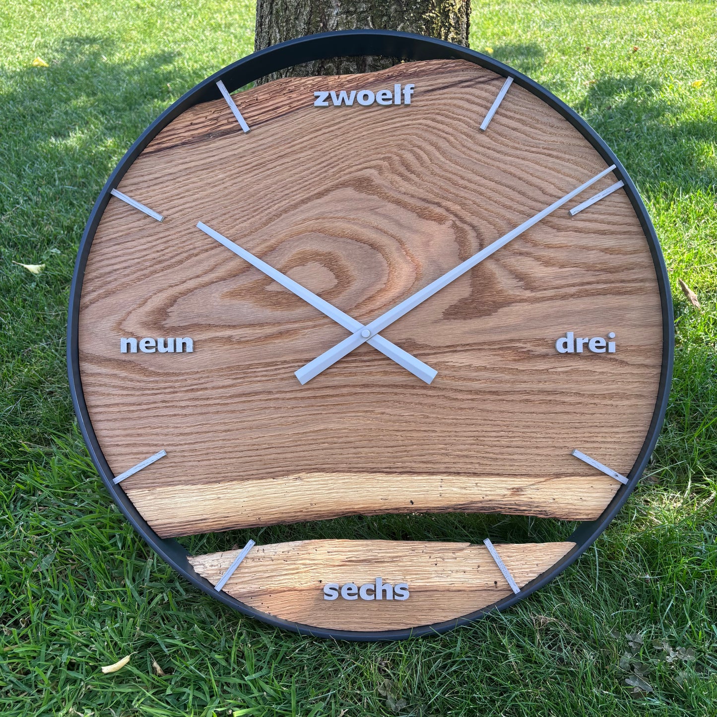 Alteiche - 50cm (#23)